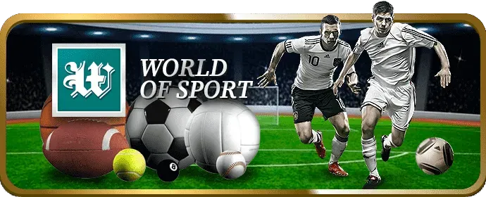 Hỗ trợ trực tuyến 24/7